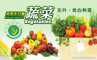 东升蔬菜品牌介绍 东升有机蔬菜 十大品牌网